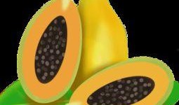 新年吃瓜视频素材下载免费,免费下载视频素材，尽享欢乐时光